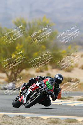 media/Apr-10-2022-SoCal Trackdays (Sun) [[f104b12566]]/Turn 5 Tree of Life (1040am)/